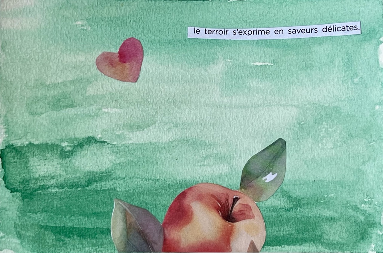 Carte postale aquarelle d'une pomme, légende « le terroir s'exprime en saveurs délicates »