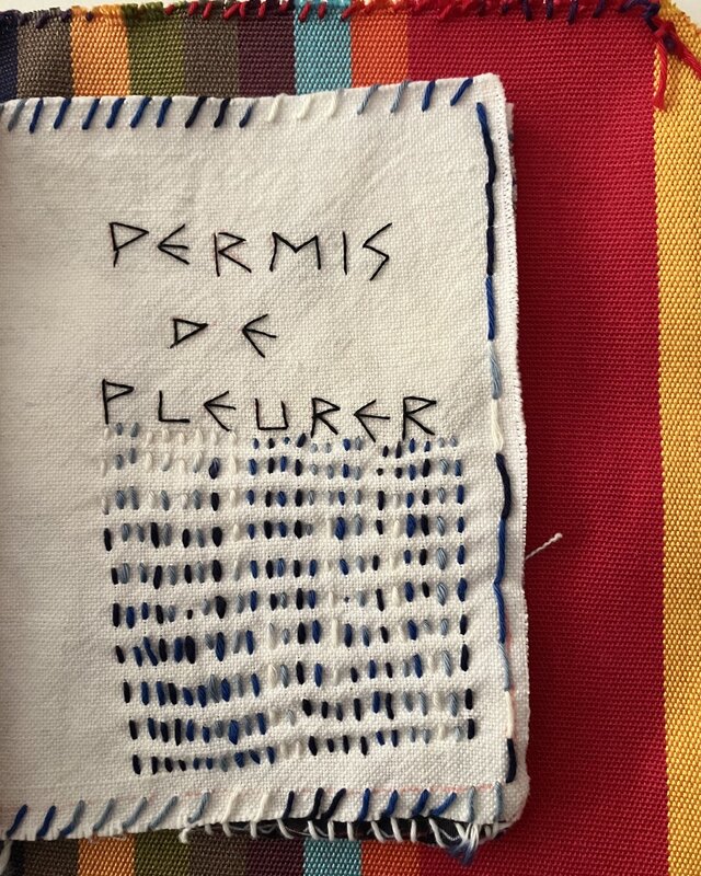 Page 16 du journal de broderie : Permis de pleurer