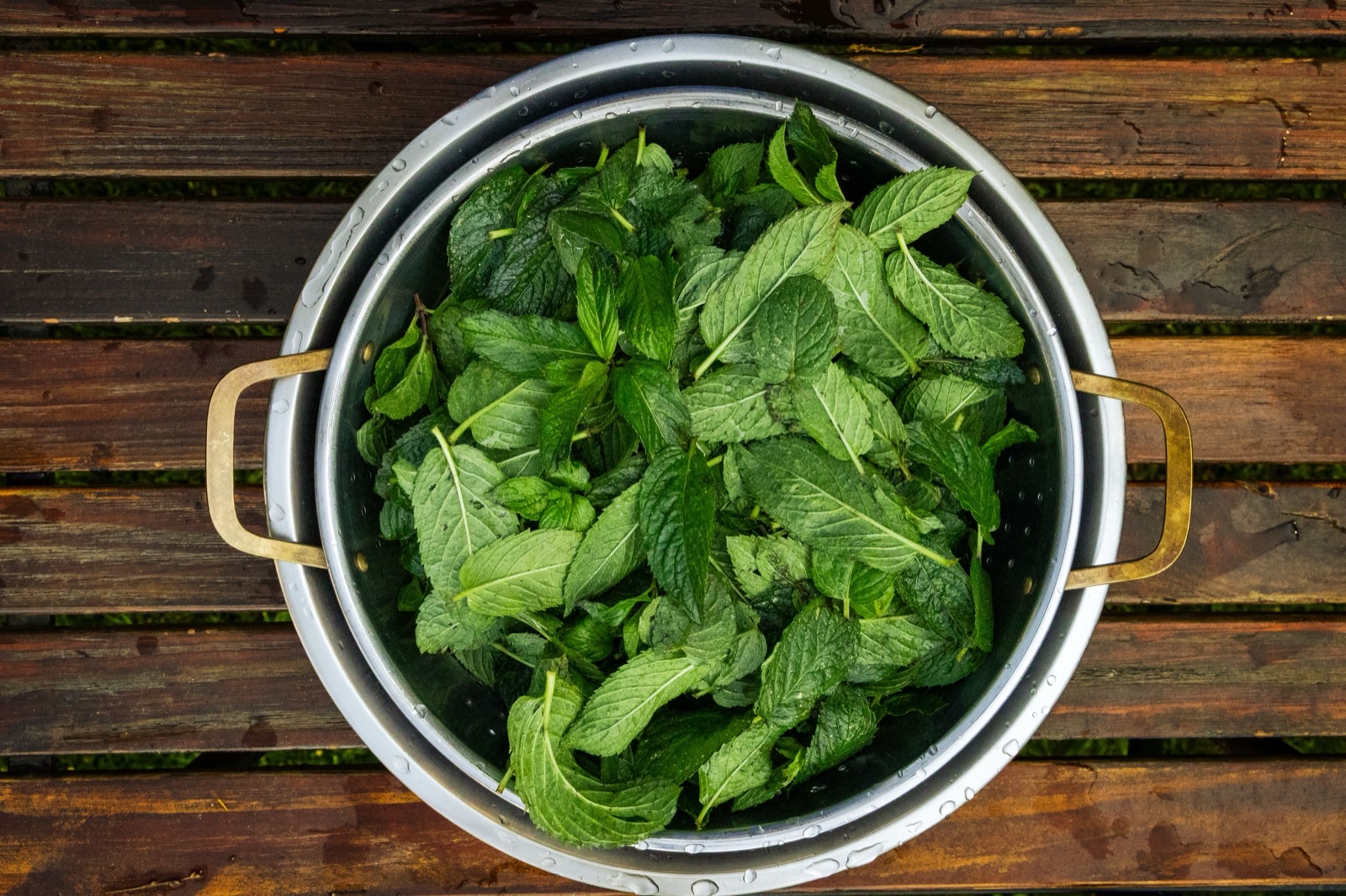 Feuilles de menthe fraîche tout juste lavées dans une passoire, posée sur une table en bois